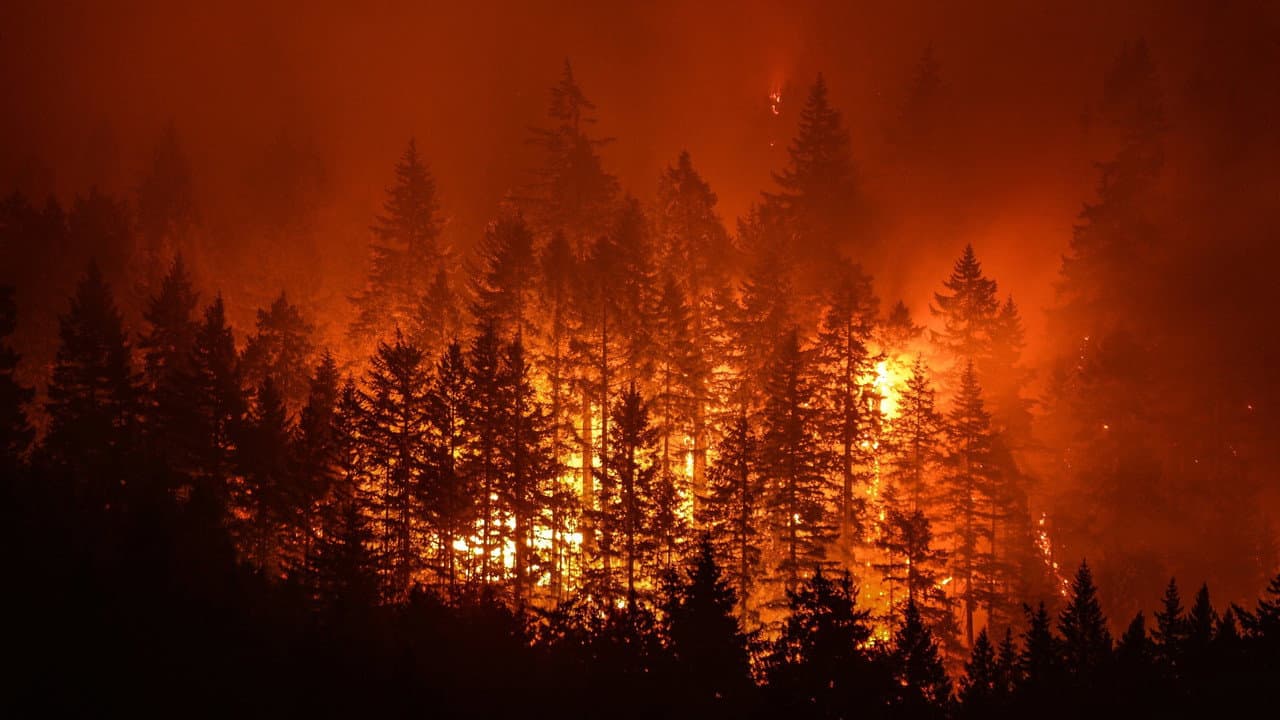 Disaster Deja vu