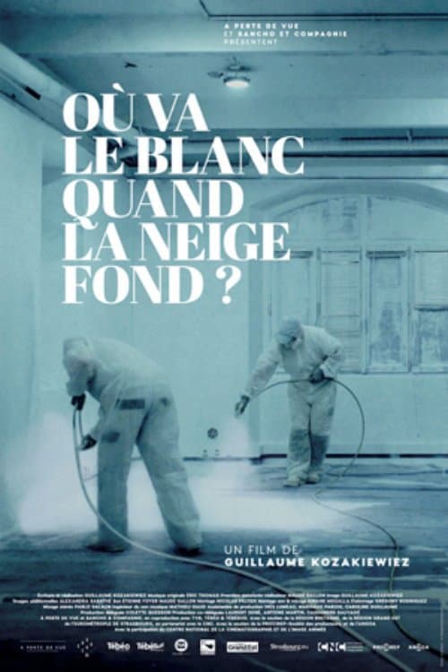Où va le blanc quand la neige fond