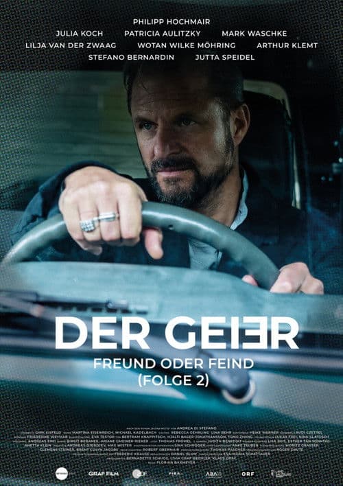 Der Geier – Freund oder Feind